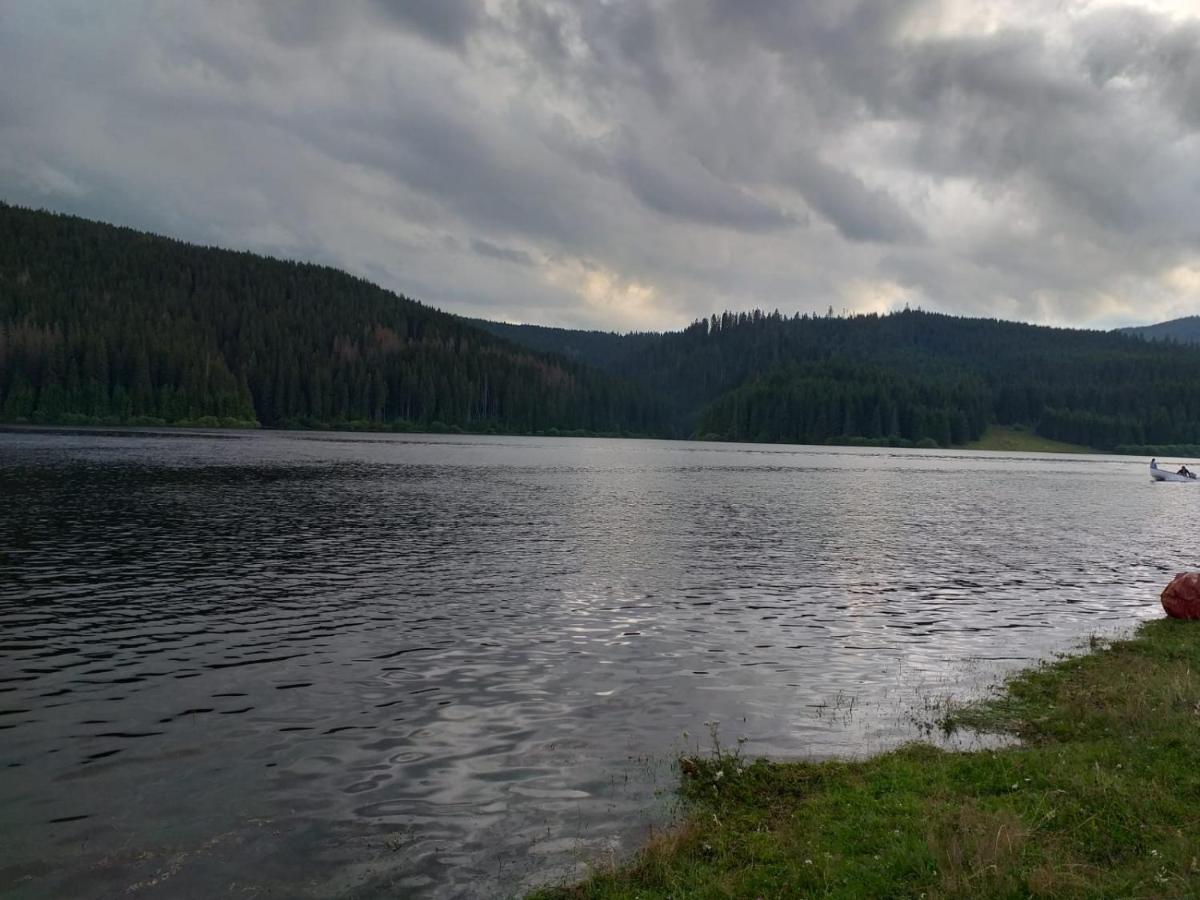 Pensiunea Floare De Colt Jósikafalva Kültér fotó