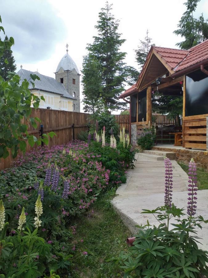 Pensiunea Floare De Colt Jósikafalva Kültér fotó